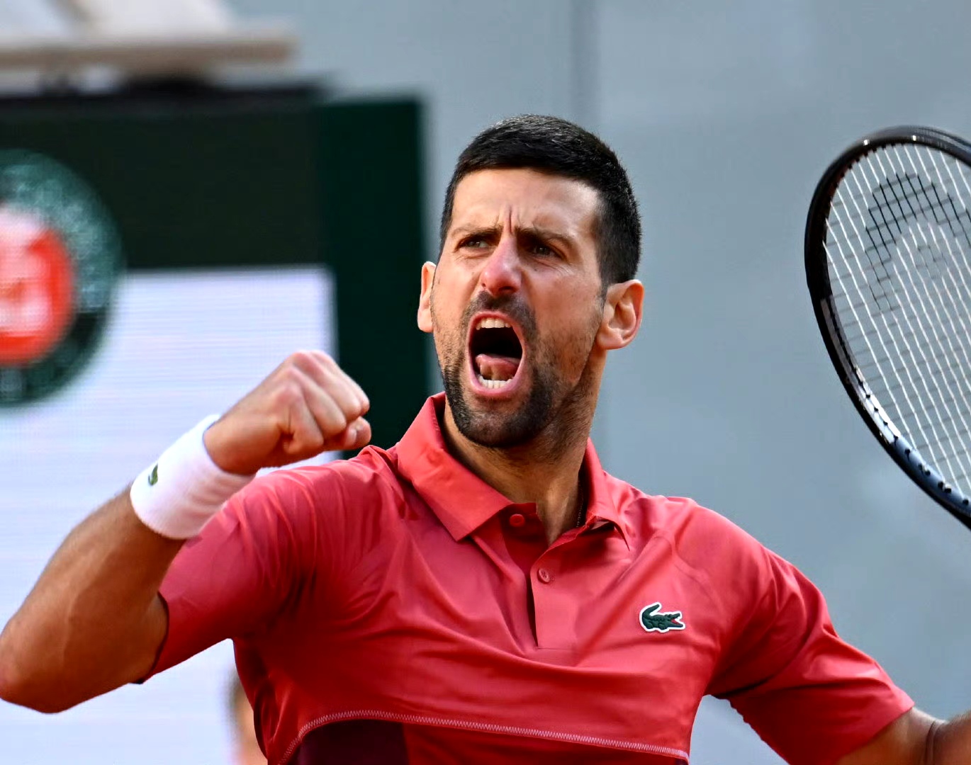 澳网险胜戴维斯杯,德约科维奇关键制胜 澳网险胜戴维斯杯,德约科维奇关键制胜