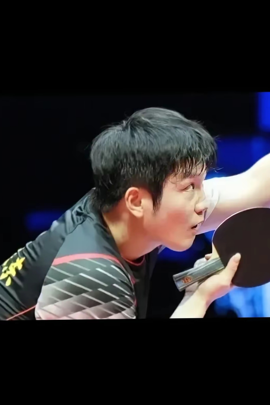 法国队轻取德国队,樊振东高光表现 法国队轻取德国队,樊振东高光表现