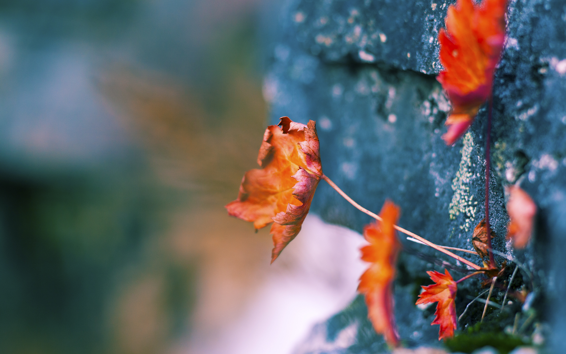 撕裂篮球逻辑的足球大脑，当德布劳内的手术刀划破东决之夜