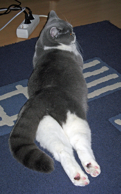 双重节奏,楚阿梅尼如何演绎绿茵场上的南非革命