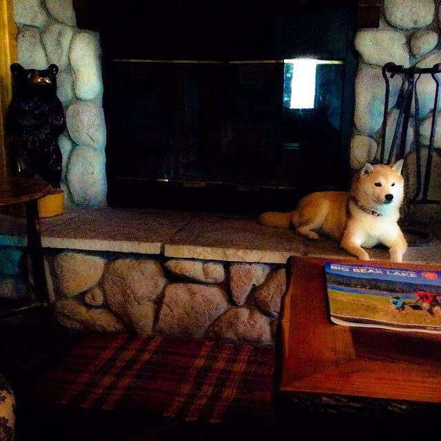 篮球新大陆的发现，当总决赛成为征服史诗