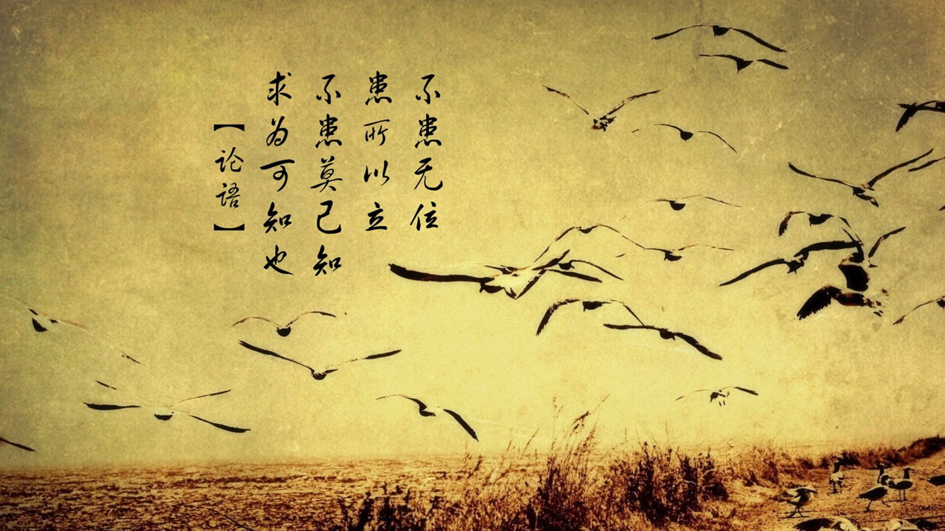 上帝今日离线,当数据圣殿遭遇血肉洪流