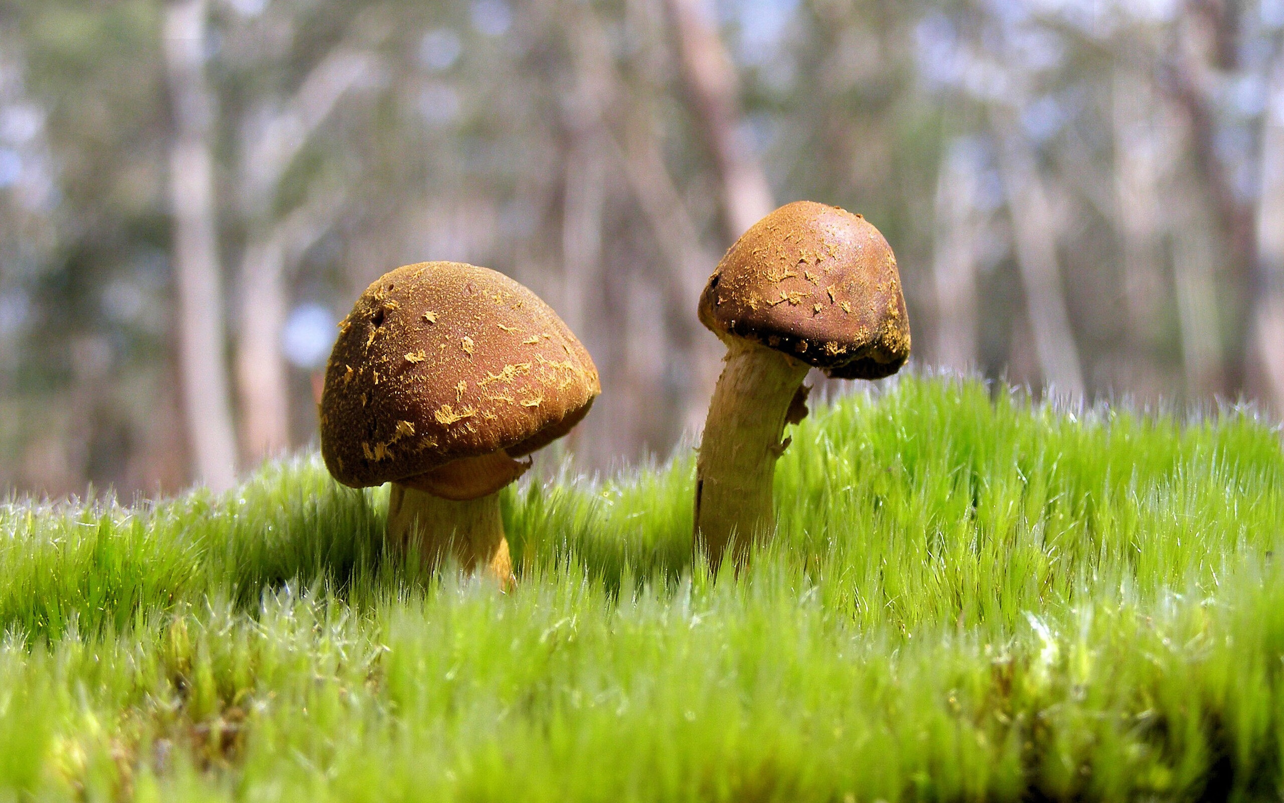 精密设计与天才闪光的二重奏，当代体育的胜负哲学