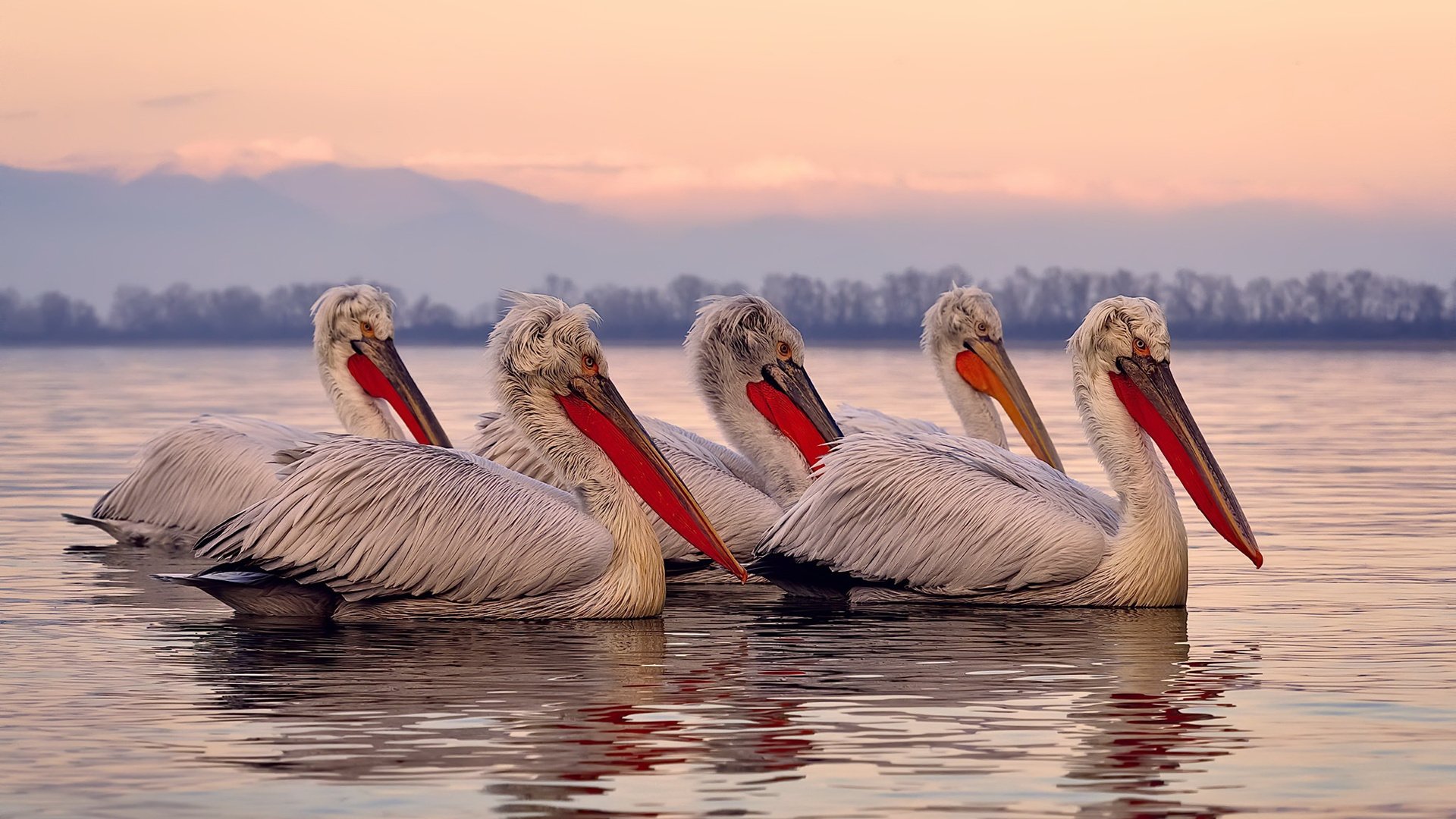 卡马文加的火与伊朗的冷，中场新秩序与曼联战术先兆
