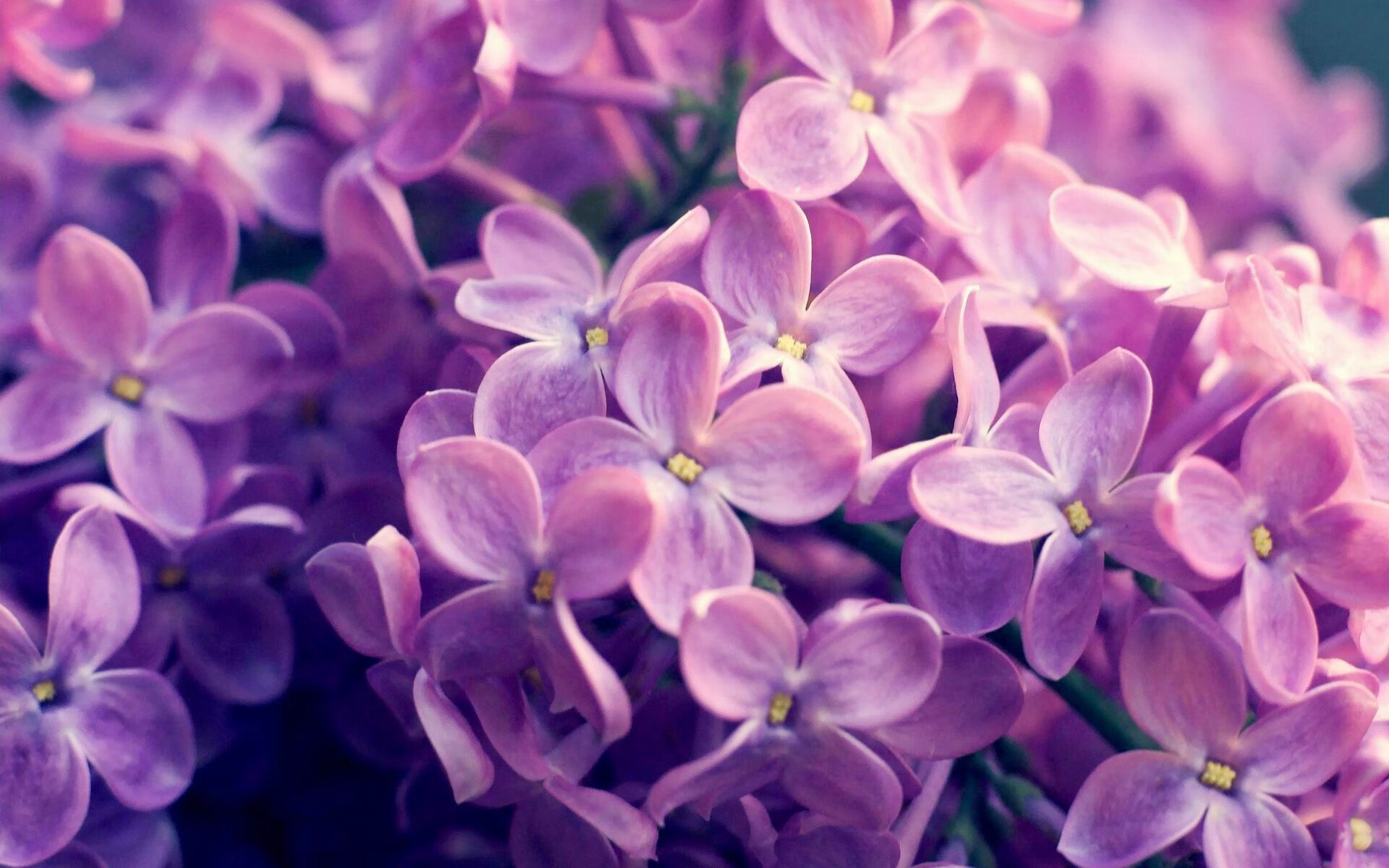 唯一性之夜,当方向盘与三分线在命运中交汇