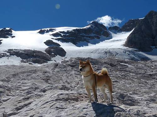 悬崖边上的金靴,凯恩倒钩绝杀铸就拜仁美国黎明