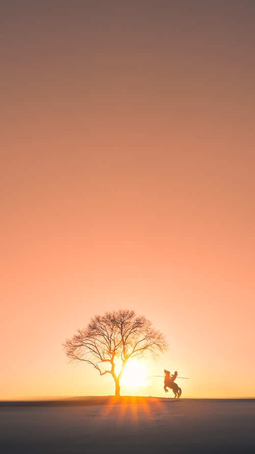 绝境里的灰色闪电，小贾伦·杰克逊的时空错位之战