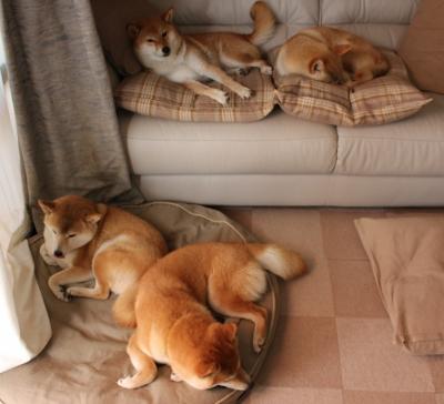 维尼修斯折叠了黑夜