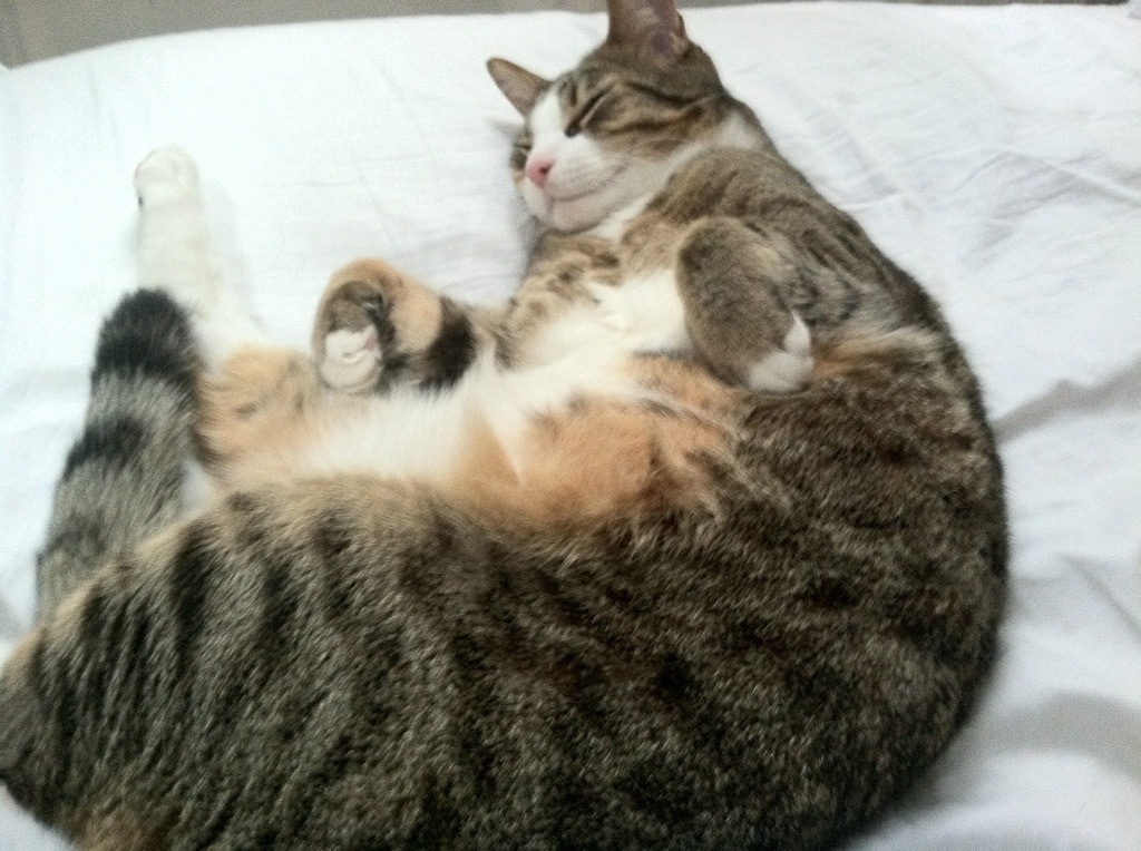 国米神锋点亮曼城！劳塔罗补时绝杀改写英超争冠剧本