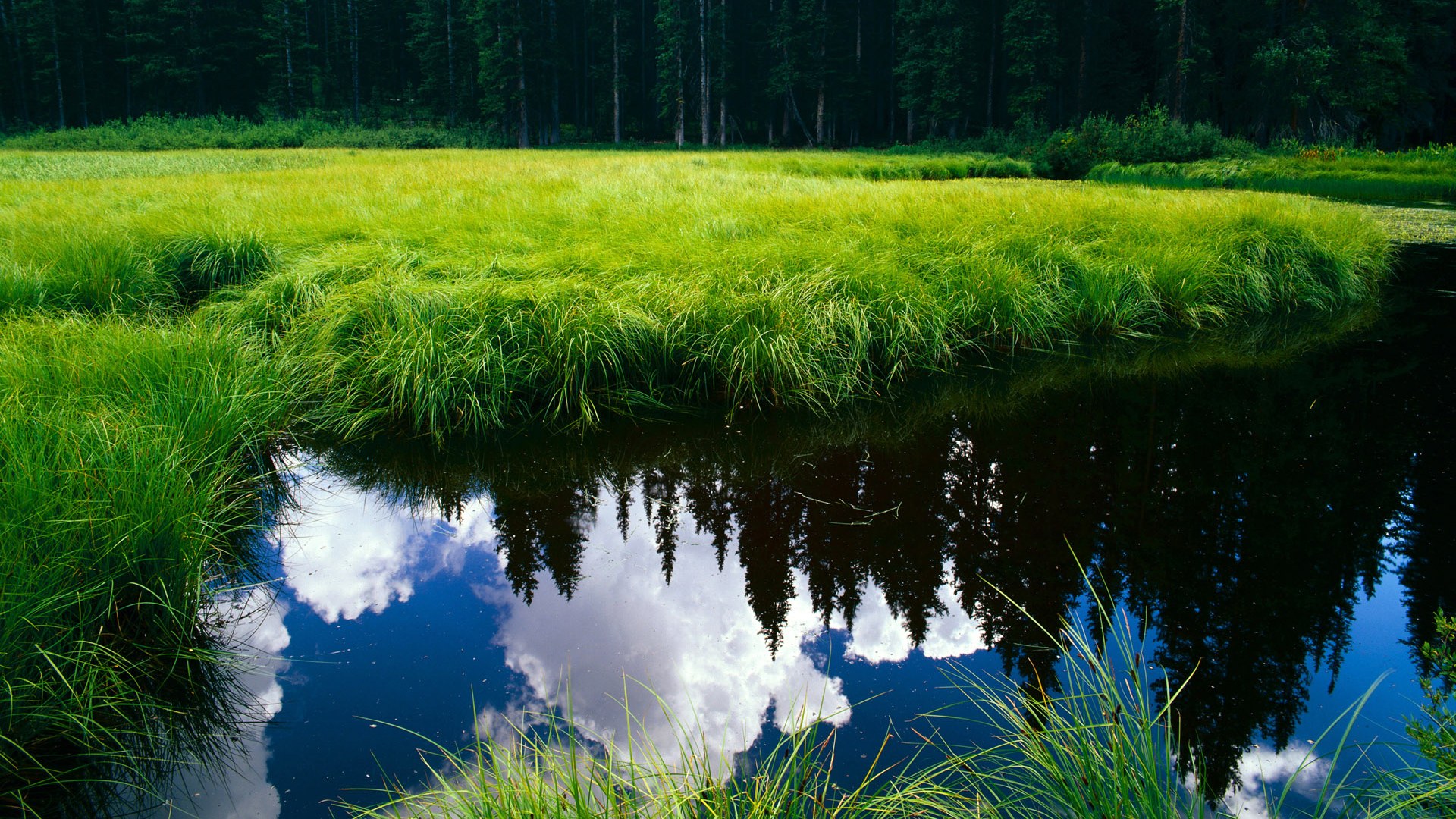 棋盘上的终局，独行侠团队篮球如何拆解76人巨星谜题