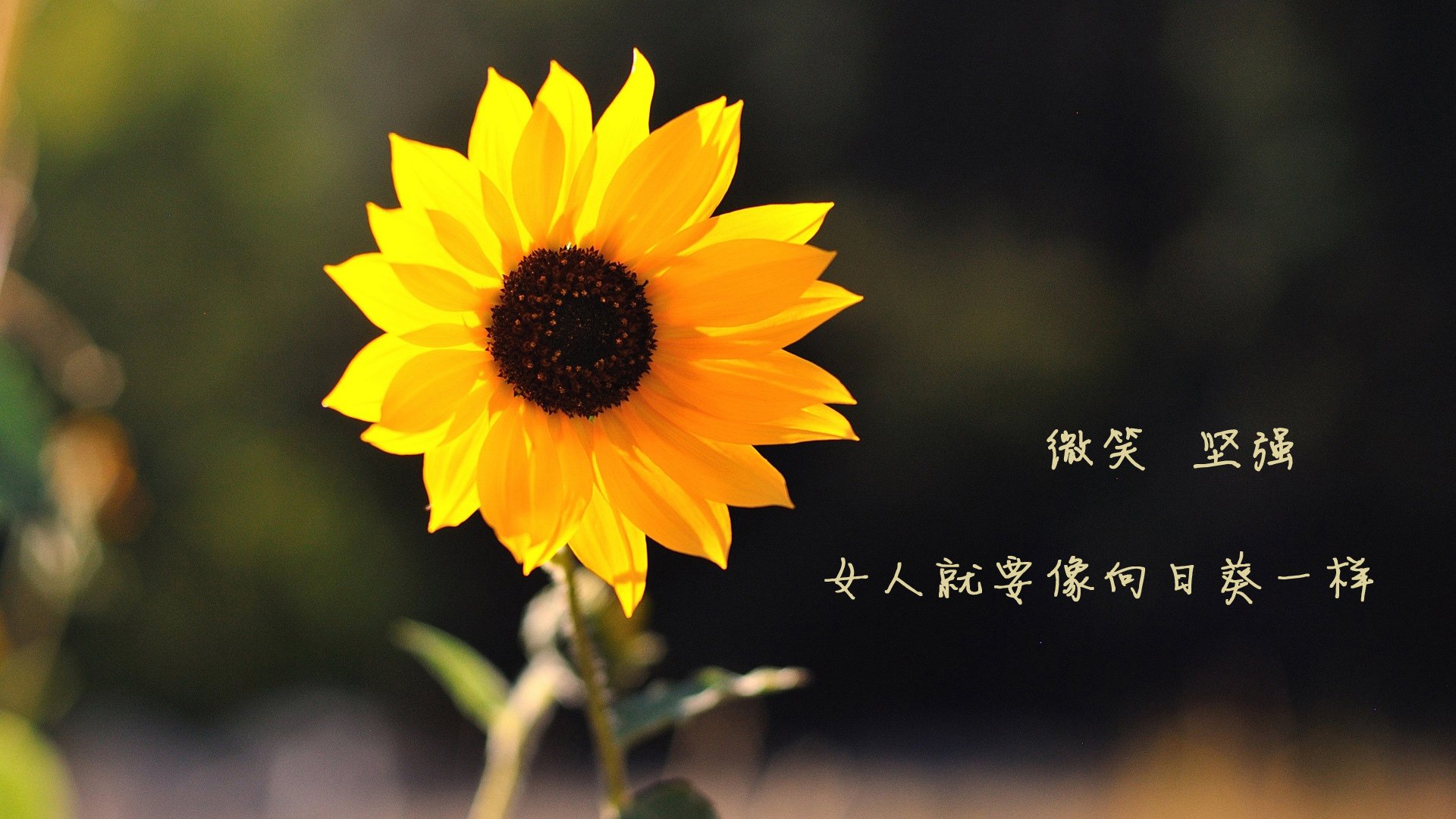 在F组，足球永远有唯一的答案，阿根廷的传承、美国的冲击与迪亚斯的意外加冕