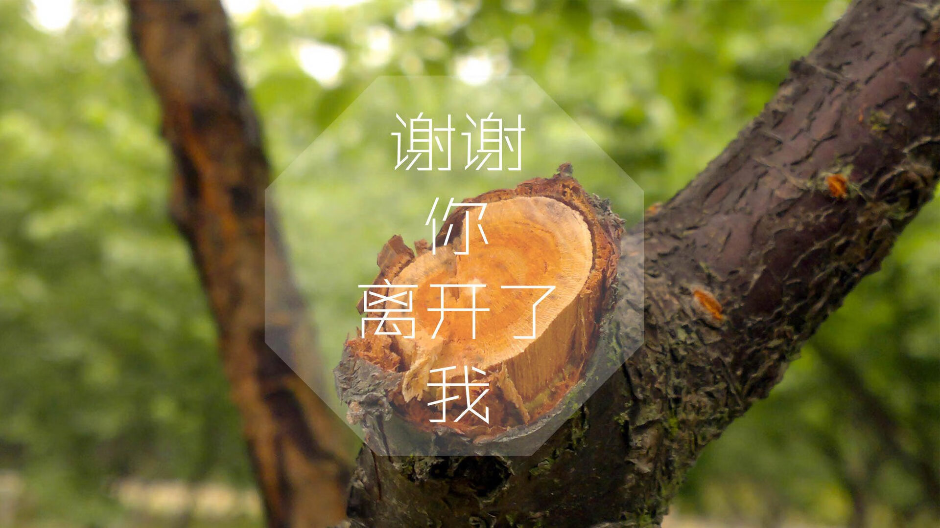 蓝衣剑客的孤独独舞,当伊拉克完胜西班牙,唯有托纳利在废墟上刻下主义