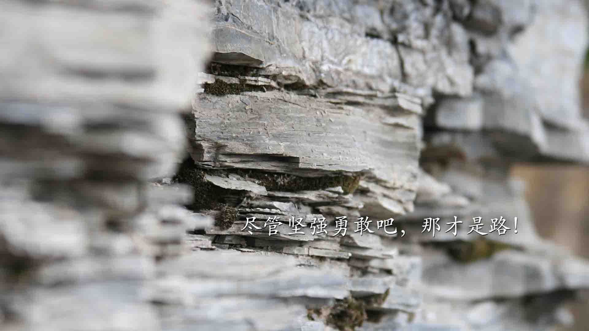 冰与火之歌，2026世界杯E组，亚洲之光与东欧铁骑的闪电战，孙兴慜领衔罗马尼亚大破冰岛